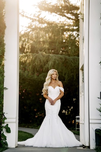 Stella York #7431ZZ - Unlined #0 default (IV-IV) Ivory Lace Tulle & Regency Organza over Ivory Gown thumbnail