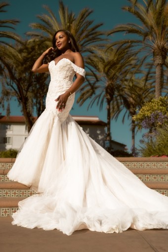 Essense of Australia #D3371IV #0 default (IC-IV) Ivory Lace & Champagne Silver Shimmer Tulle ov Ivory Gown thumbnail