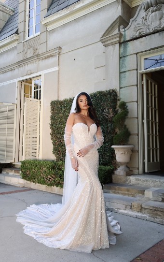 Martina Liana #1751 #0 default IVORY LACE AND TULLE OVER IVORY GOWN thumbnail