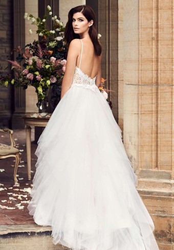 Paloma Blanca #4734 #2 thumbnail